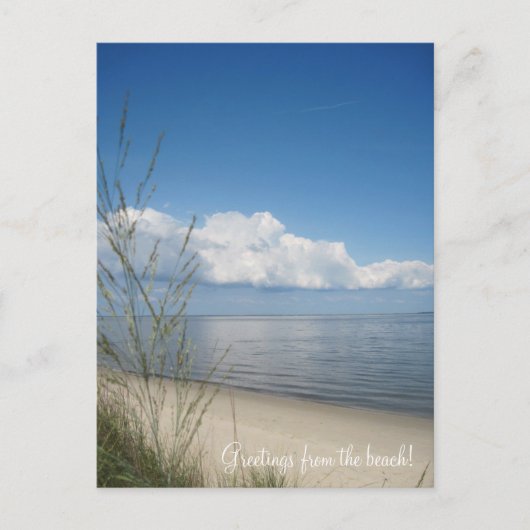ビーチ! ポストカード (正面)