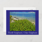 ビーチ ポストカード (正面/裏面)