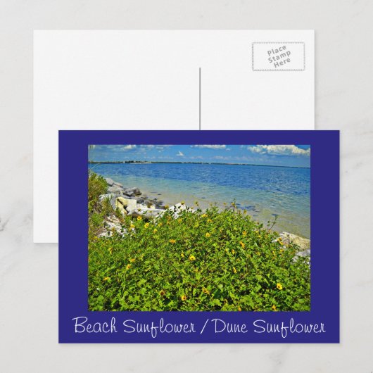 ビーチ ポストカード (正面/裏面)