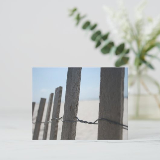 ビーチ ポストカード (スタンド正面)