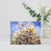 ビーチ ポストカード (スタンド正面)