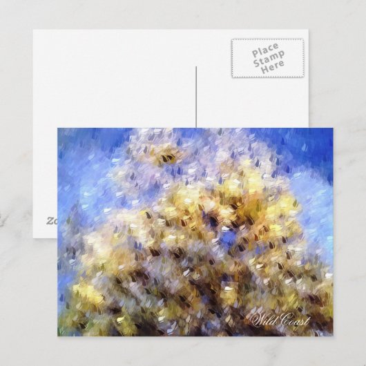 ビーチ ポストカード (正面/裏面)