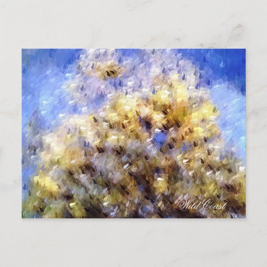 ビーチ ポストカード (正面)