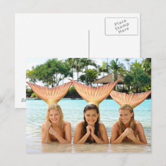 ビーチ ポストカード (正面/裏面)