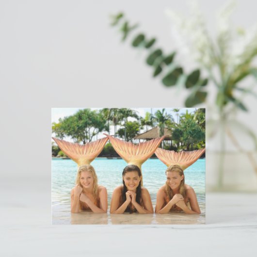 ビーチ ポストカード (スタンド正面)