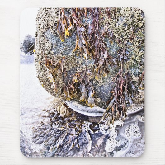 ビーチ マウスパッド (正面)