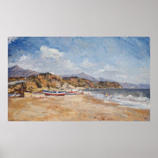 ビーチ&マウンテンズネージャ2001 ポスター (正面)