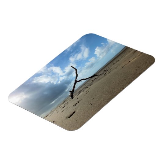 ビーチ マグネット (左側)