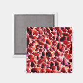 ビーチ マグネット (正面/裏面)