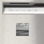 ビーチ マグネット (インサイチュ (食洗機))