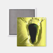 ビーチ マグネット (正面/裏面)