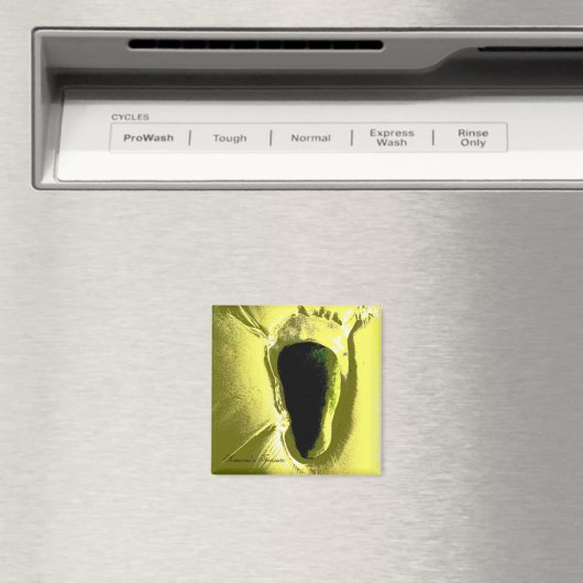 ビーチ マグネット (インサイチュ (食洗機))