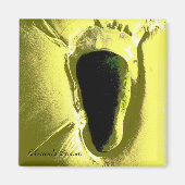 ビーチ マグネット (正面)