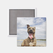 ビーチ マグネット (正面/裏面)