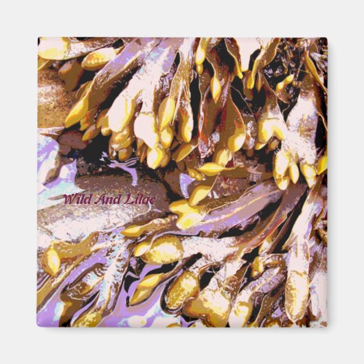 ビーチ マグネット (正面)