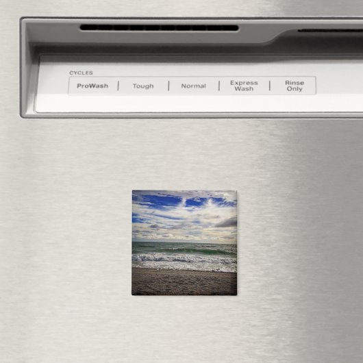 ビーチ マグネット (インサイチュ (食洗機))