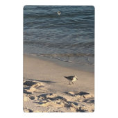 ビーチ ミニクリップボード (裏面)