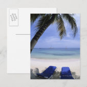 ビーチ、ラウンジチェア、パームツリー、ホライズンオーバー ポストカード (正面/裏面)