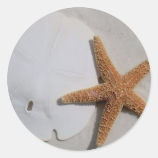 ビーチ ラウンドシール