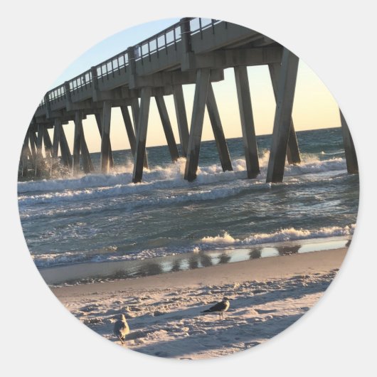 ビーチ ラウンドシール (正面)