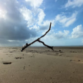 ビーチ ラッピングペーパーシート