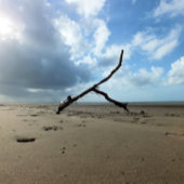 ビーチ ラッピングペーパー