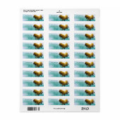 ビーチ ラベル (フルシート)