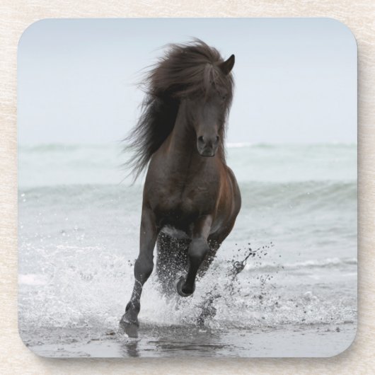 ビーチ|北大西洋の種馬のランニング コースター (正面)