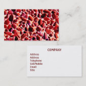 ビーチ 名刺 (正面/裏面)