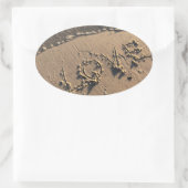 ビーチ 楕円形シール (バッグ)