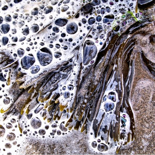 ビーチ、海藻、水砂 タイル