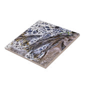 ビーチ、海藻、水砂 タイル (側面)