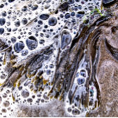 ビーチ、海藻、水砂 バスマット