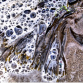 ビーチ、海藻、水砂 ピックルボールラケット