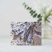 ビーチ、海藻、水砂 ポストカード (スタンド正面)