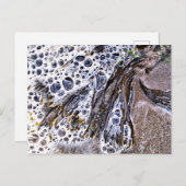 ビーチ、海藻、水砂 ポストカード (正面/裏面)