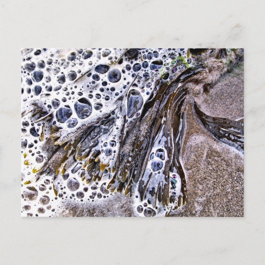 ビーチ、海藻、水砂 ポストカード (正面)