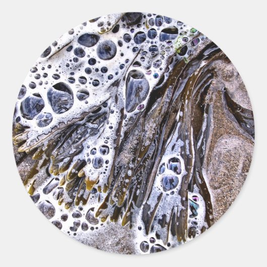 ビーチ、海藻、水砂 ラウンドシール (正面)
