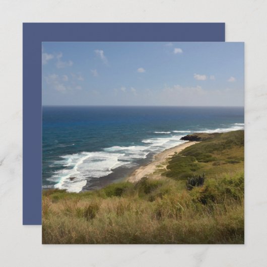 ビーチ 海 砂 自然 空 カリブ海 米領ヴァージン諸島 備考 カード (正面/裏面)