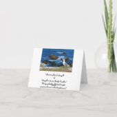 ビーチ、空白のなメッセージカードのカモメ カード (裏面)