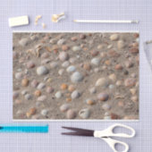 ビーチ 薄葉紙 (クラフト)