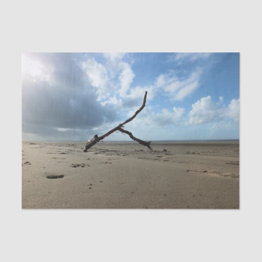 ビーチ 薄葉紙 (正面)