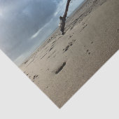 ビーチ 薄葉紙 (詳細)