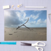 ビーチ 薄葉紙 (クラフト)