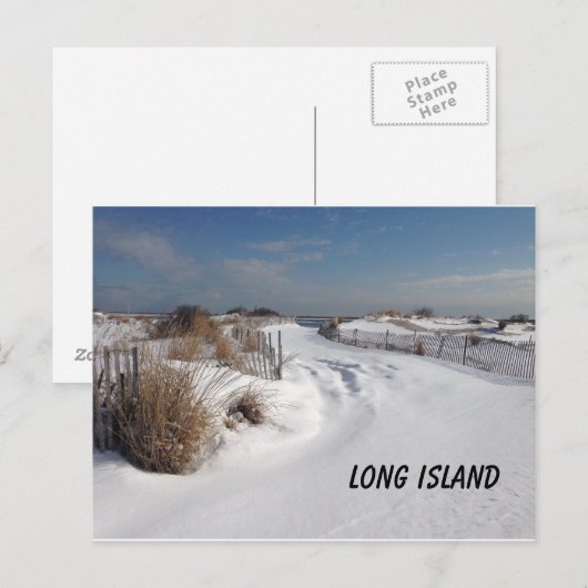 ビーチ(2度) ポストカード (正面/裏面)