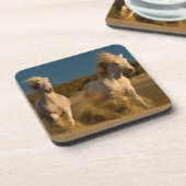 ビーチ| Camargue、フランスで走っている白馬 コースター (左側)