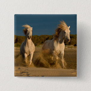 ビーチ Camargue、フランスで走っている白馬 缶バッジ