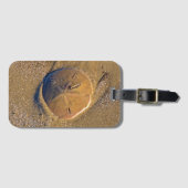 ビーチ| Hilton Head Islandで明らかにされる砂ドル ラゲッジタグ (正面横)