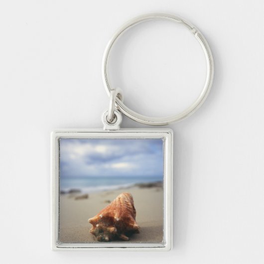 ビーチ| St. Croix、Usviのコンシュの貝 キーホルダー (正面)