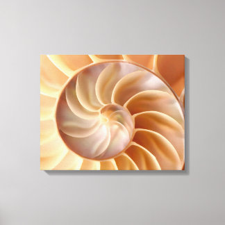 ビーチNautilus Shell Art Canvas Print キャンバスプリント